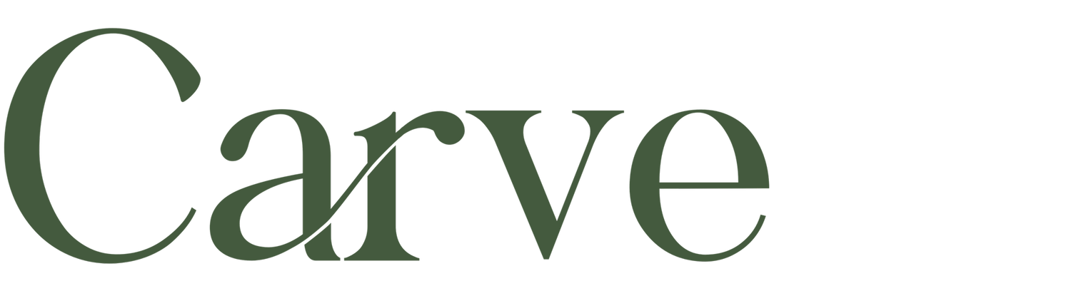 CarveLogo